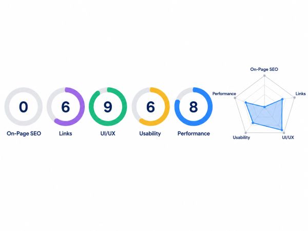SEOptimer analysis visual